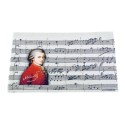 Mozart manuscript cleaning cloth