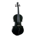 Stentor Harlequin violin  4/4