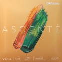 Set de cuerdas viola D'Addario Ascenté A410LM +16" Long