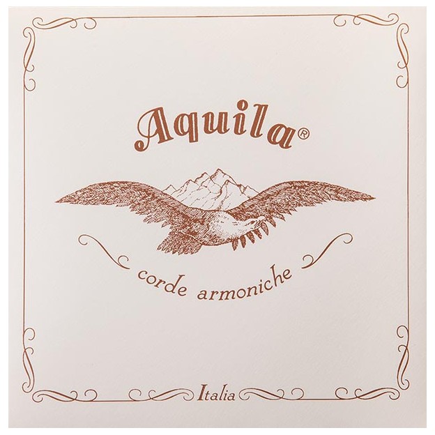 Aquila gut/silver FU type baroque string Medium 29FU