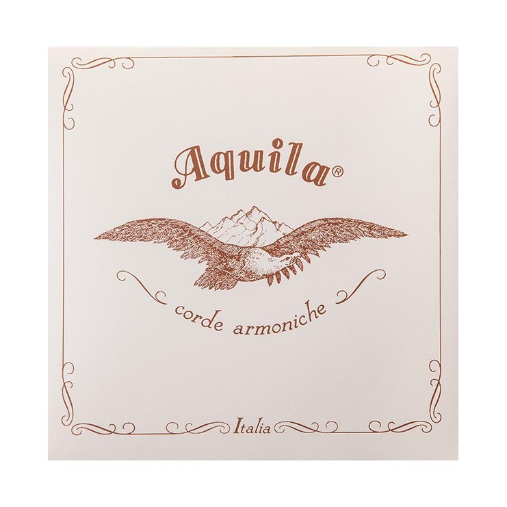 Aquila gut/silver FU type baroque string Medium 29FU