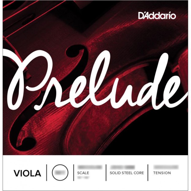 Cuerda de viola D'Addario Prelude 3&ordf; Sol Medium