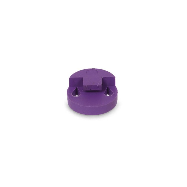 Tourte viola mute, 2 holes