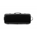 Rapsody Rainbow oblong viola case