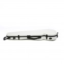 Rapsody Rainbow contoured violin case