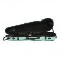 Rapsody Rainbow contoured violin case