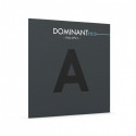 Corde d'Alto Thomastik Dominant Pro DP21 1re La acier - chrome Medium