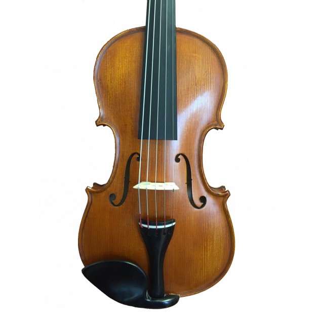 5 string Gliga Gama II violin