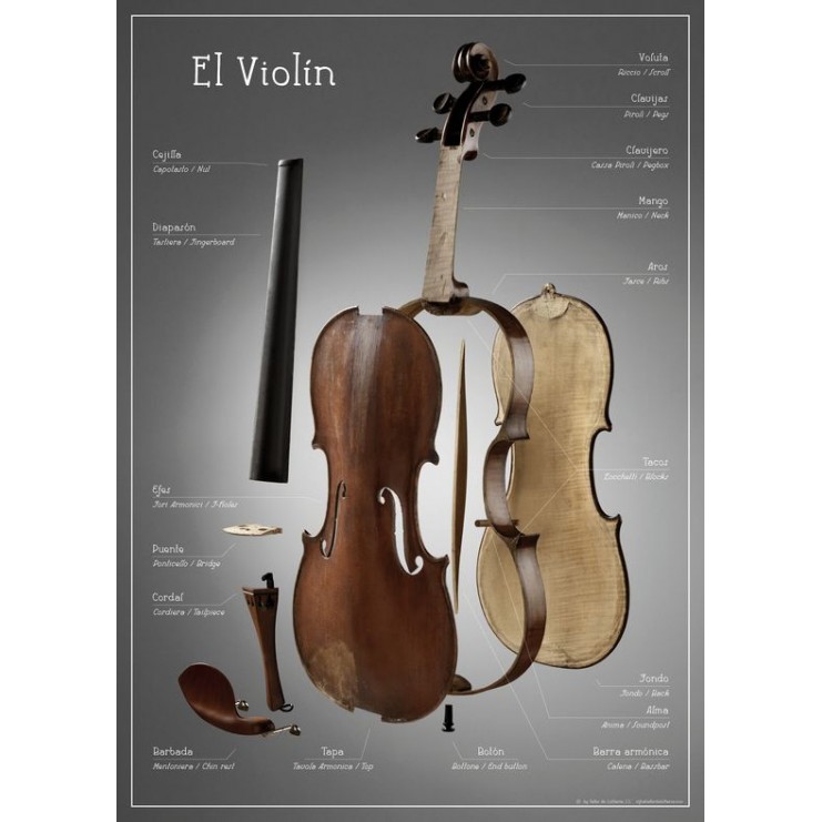 Affiche pédagogique des parties du Violon