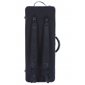 Estuche de Alto Bam Artisto 16" 7/8 (43 cm) 2043B