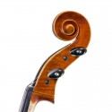 Violoncelle F. Müller Virtuoso