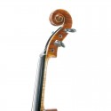 Violí Stentor Master 4/4