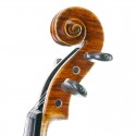 Violon Stentor Master 4/4