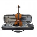 Violon Stentor Graduate 4/4 set