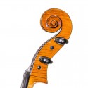 Cello Antonio Wang model Viena Stradivari 1710