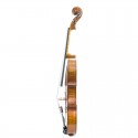 Alto Antonio Wang Verona antiqued 16,5"