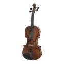 Stentor Verona violin