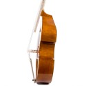 Alto de gamba Rapsody G10