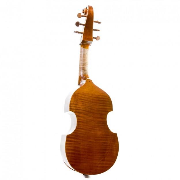 Viola de gamba Rapsody G10