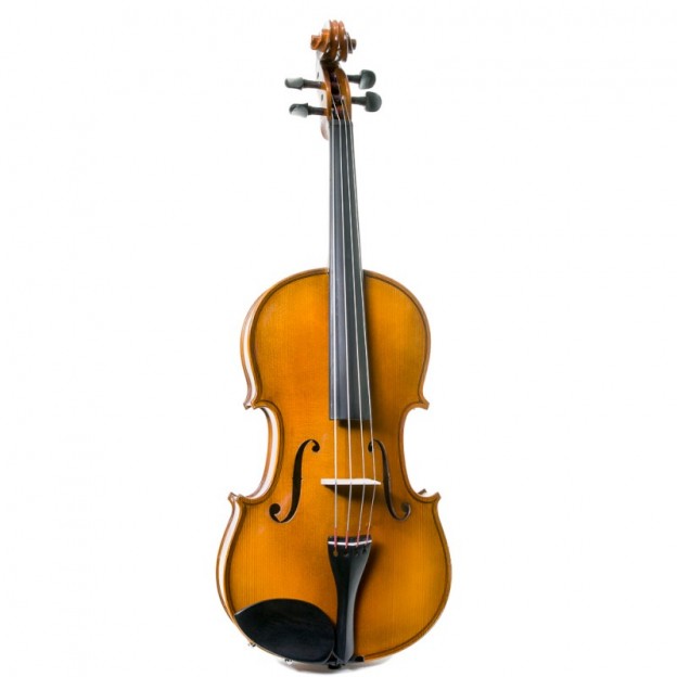 Gliga genial II viola with black case