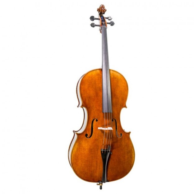 Cello F. Müller Master Antiqued 4/4  (B-Stock nº267)