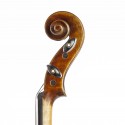 Violon Tradizione V5 4/4