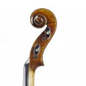 Violon Tradizione V10 4/4