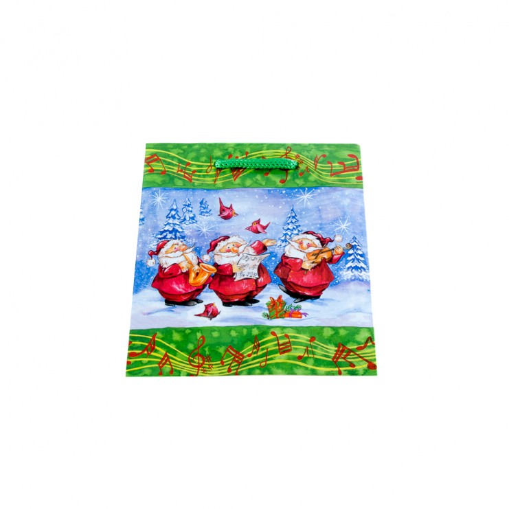 7532 Bossa per ampolla 12x10x35 cm Pare noël