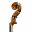 Viola Tradizione Legato 15" set