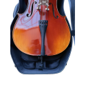 Esponja pour adaptar Étui pour violoncelle Artist Dynamic