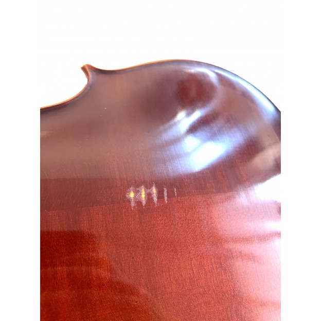 Corina Duetto viola
