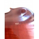 Corina Duetto viola
