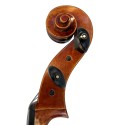 Violoncelle Tradizione Vibrato 4/4