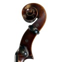 Violoncelle Tradizione Legato