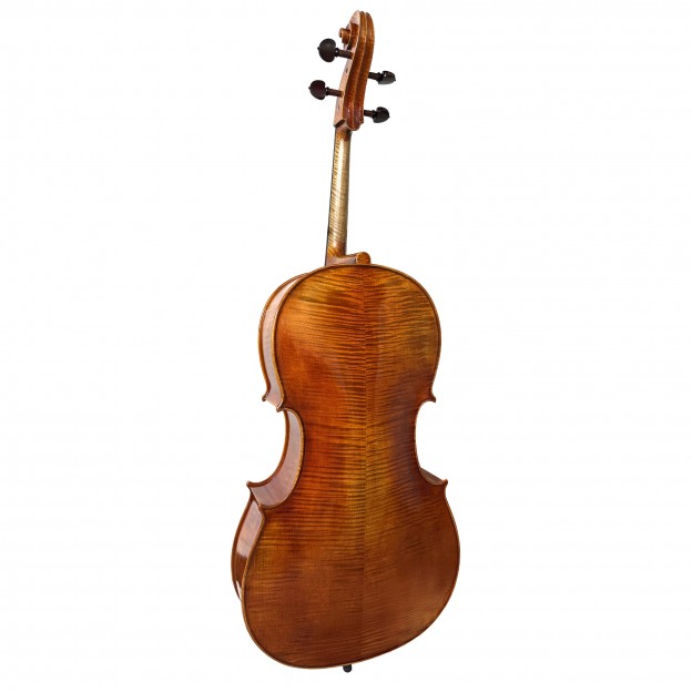F. Müller Piatti Cello