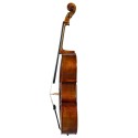 F. Müller Piatti Cello
