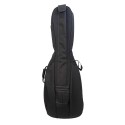 Viola gamba J. B. Lacroix Mirecourt Set
