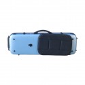 Artist Dynamic oblong violin  case with sheet music bag