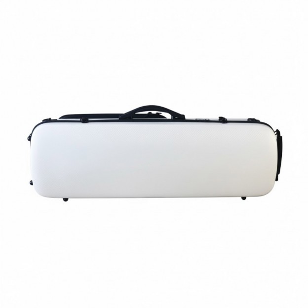 Artist Dynamic oblong violin  case with sheet music bag