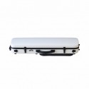 Artist Dynamic oblong violin case with sheet music bag
