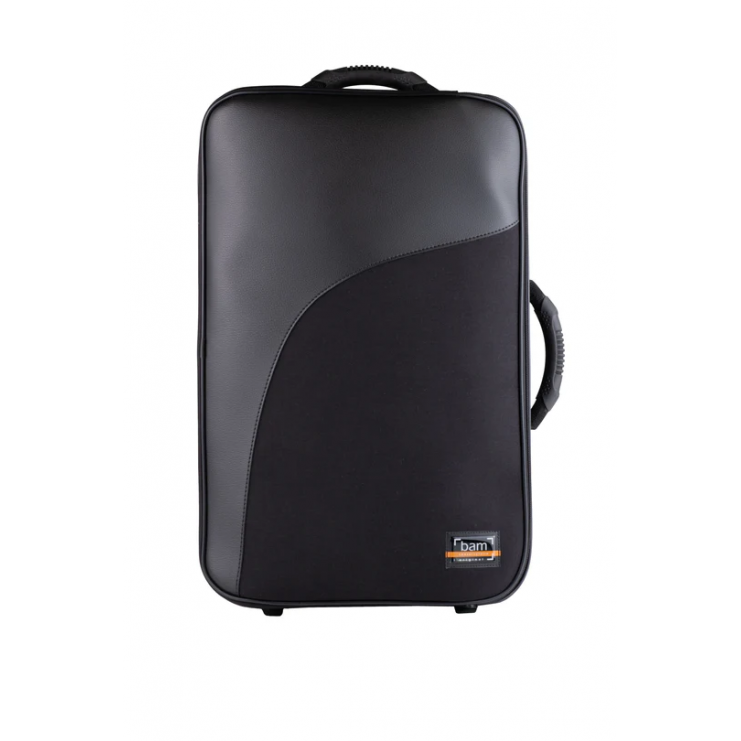 Bam Conservatoire trumpet +  fluegelhorn case CONS3023SN black