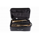 Bam Conservatoire trumpet +  fluegelhorn case CONS3023SN black