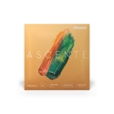 Jeu de cordes pour Alto D'Addario Ascenté A410LM +16" Long