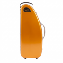 Bam La Défense Hightech alto sax case DEF4101XL