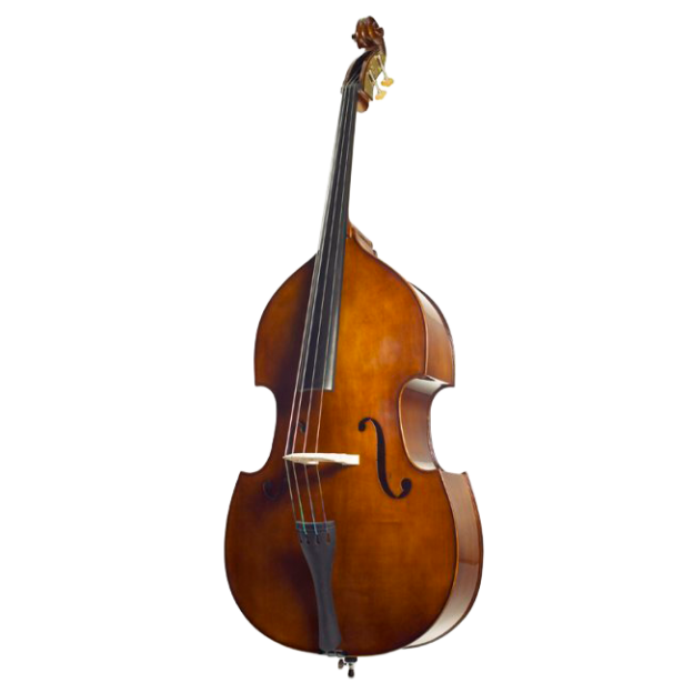 Stentor Student II double bass