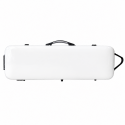 Rapsody Rainbow oblong violin  case