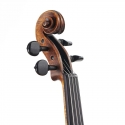 Violí Stentor Arcadia antiqued 4/4