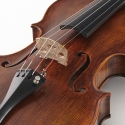 Violí Stentor Arcadia antiqued 4/4
