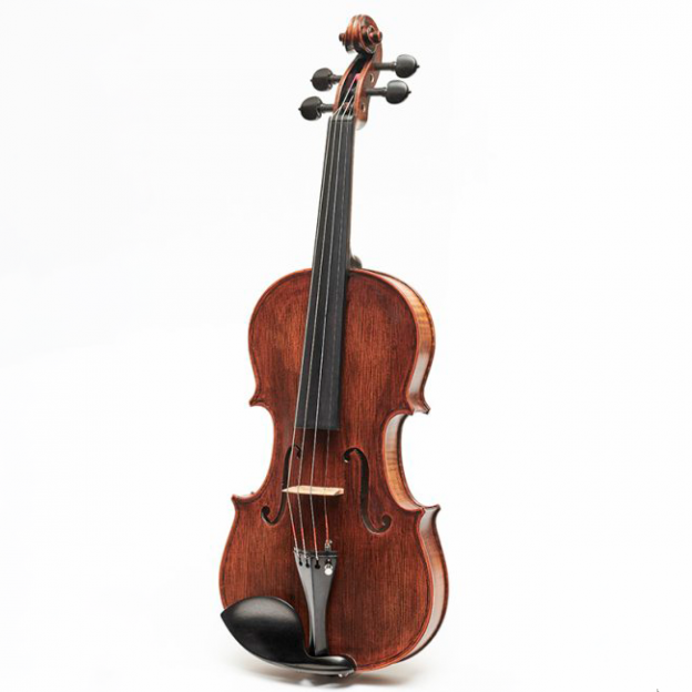 Violí Stentor Arcadia antiqued 4/4