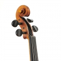 Violí Stentor Arcadia 4/4